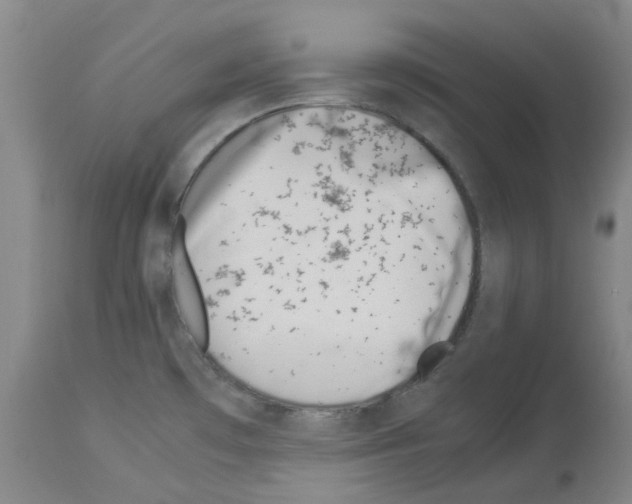 X0000114011481200911131152