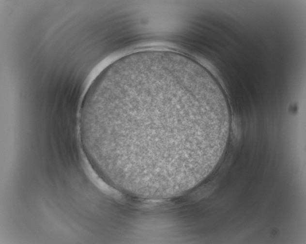 X0000114011482200911131152