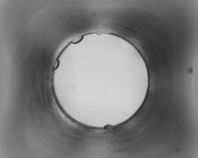 X0000114011484200911131152