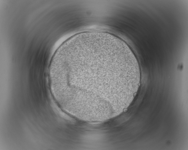 X0000114011486200911131152