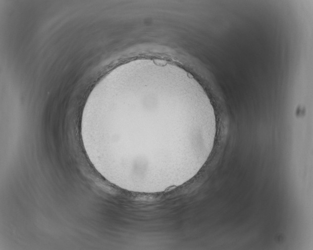 X0000114011489200911131151