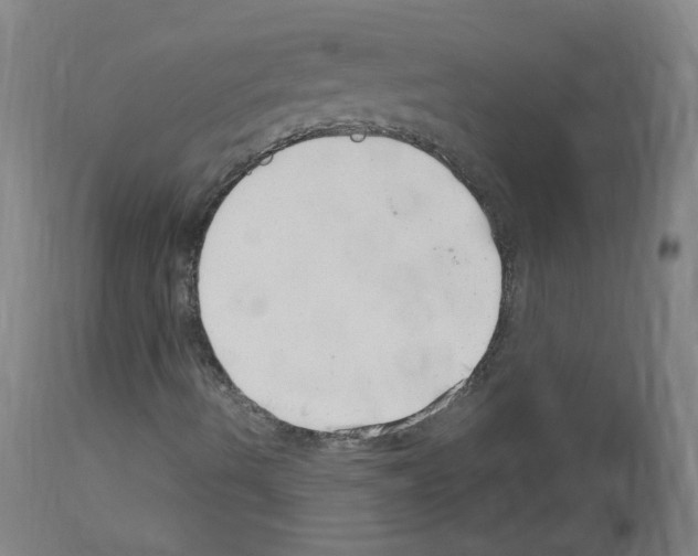 X0000114011490200911131151