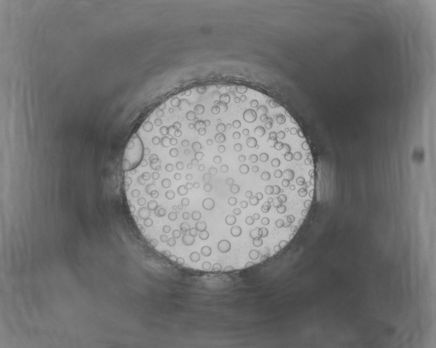 X0000114011491200911131151