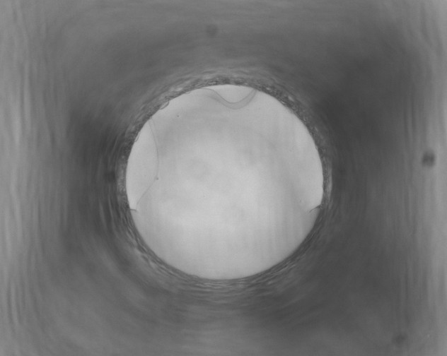 X0000114011492200911131151