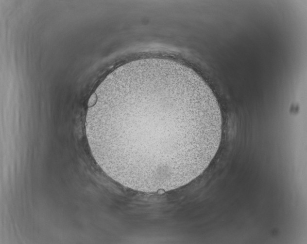 X0000114011493200911131151