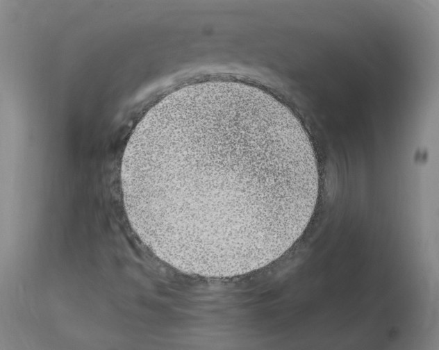 X0000114011494200911131151