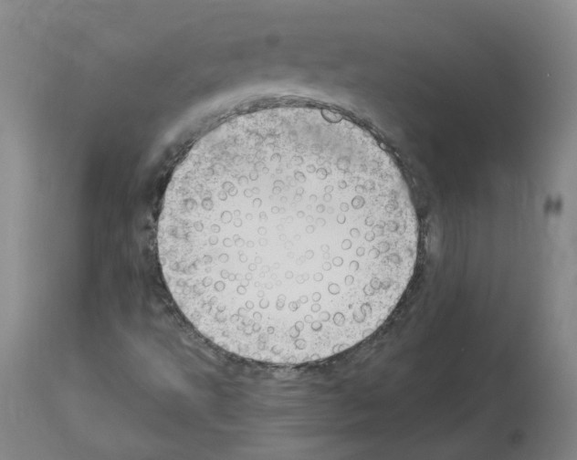 X0000114011495200911131151