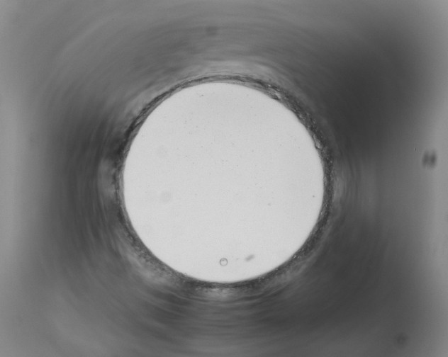 X0000114011497200911131151