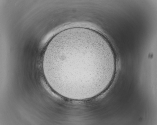 X0000114011498200911131151