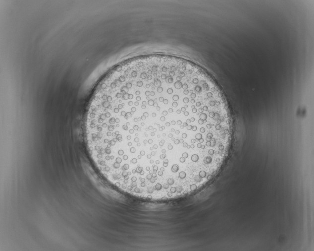 X0000114011499200911131151