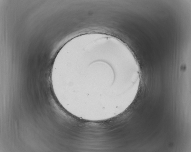 X0000114011500200911131151