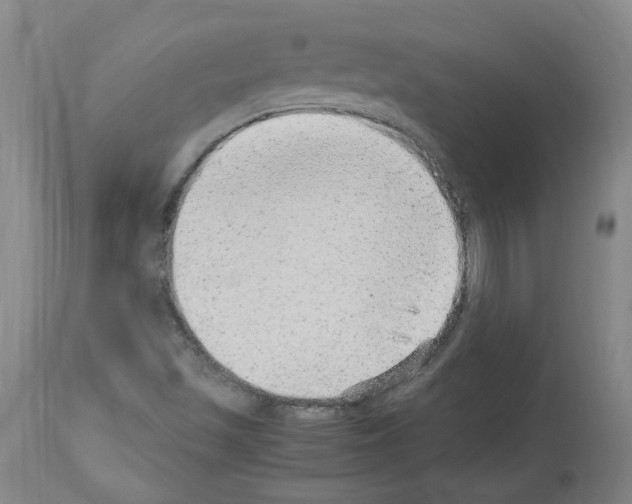 X0000114011501200911131151