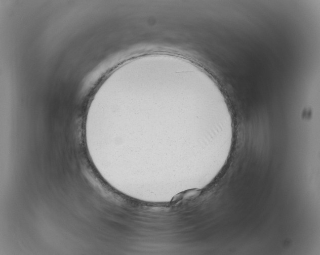 X0000114011503200911131151