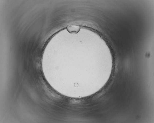 X0000114011505200911131151