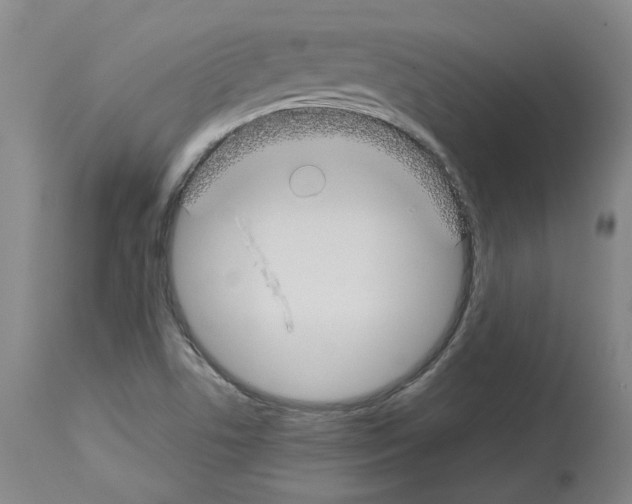 X0000114011506200911131151