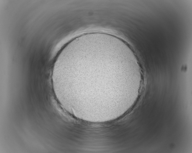 X0000114011507200911131151