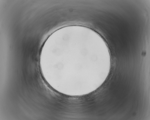 X0000114011508200911131151