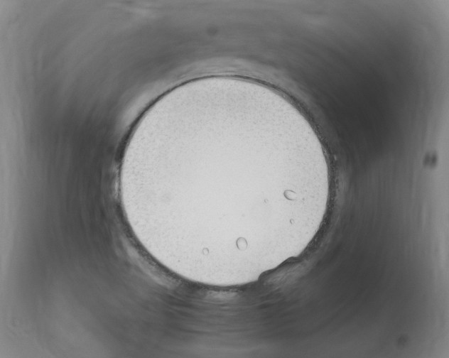 X0000114011509200911131151