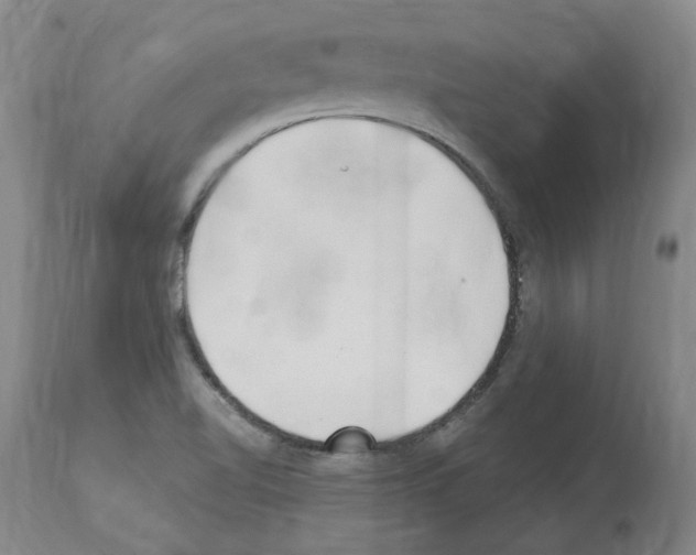 X0000114011510200911131151