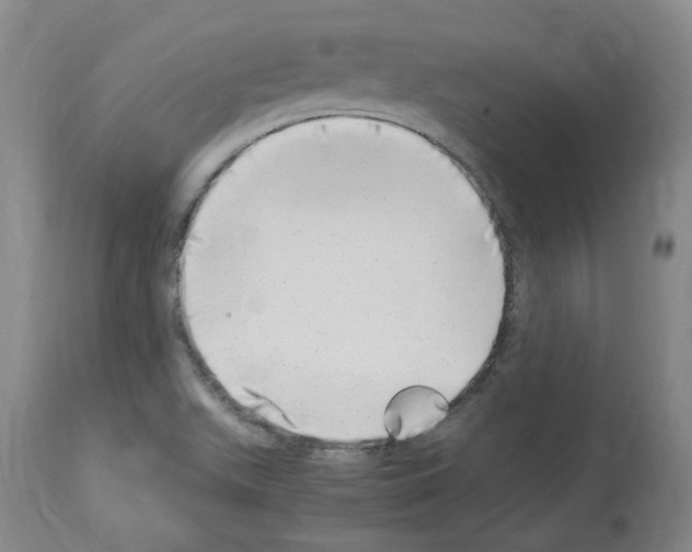 X0000114011511200911131151