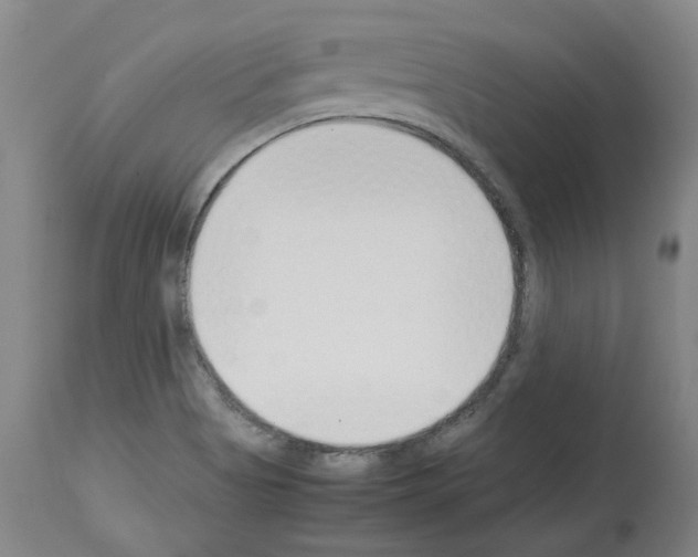 X0000114011513200911131151