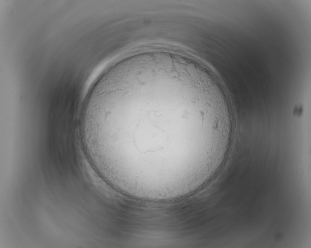 X0000114011514200911131151