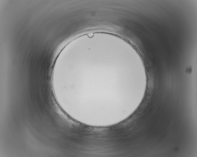 X0000114011516200911131151