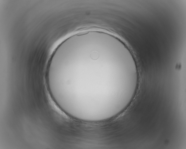 X0000114011518200911131151