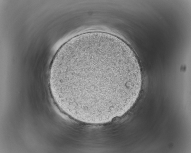 X0000114011519200911131151