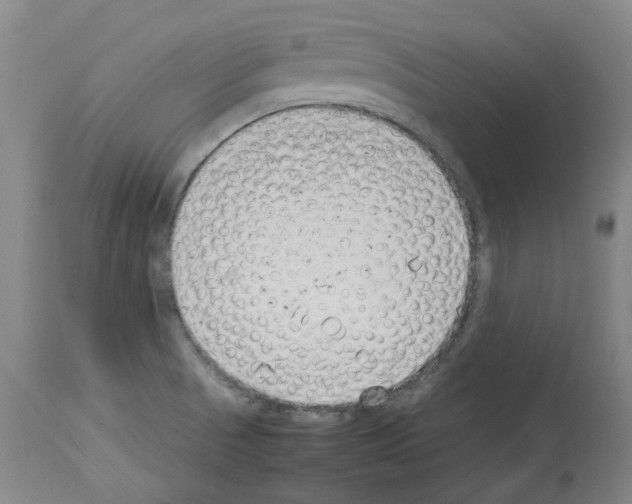 X0000114011521200911131151