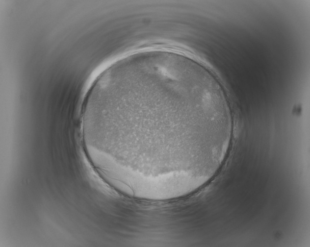 X0000114011522200911131152