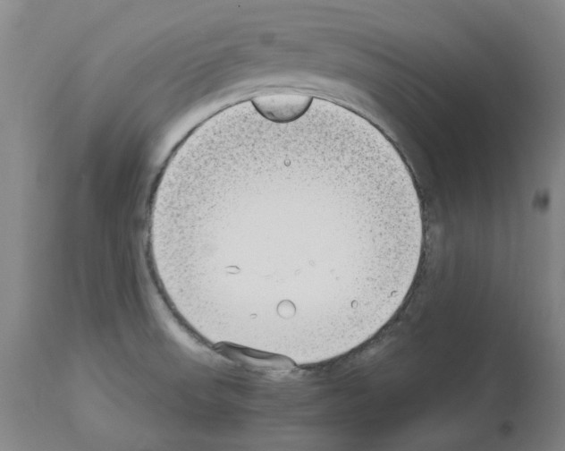 X0000114011523200911131152