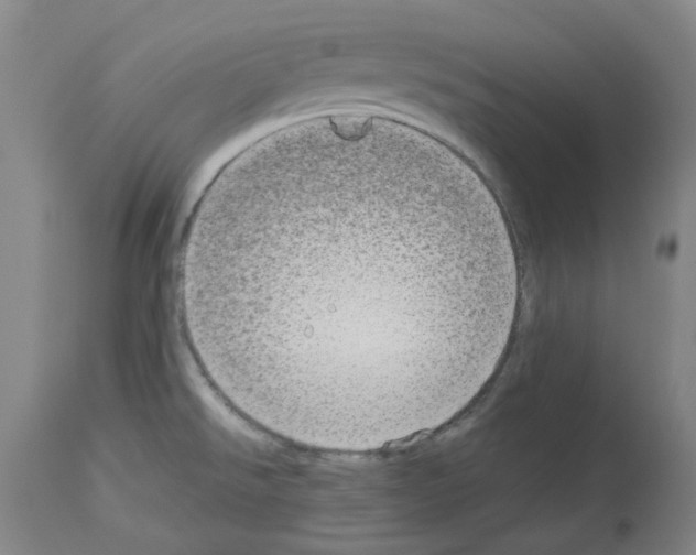 X0000114011526200911131152