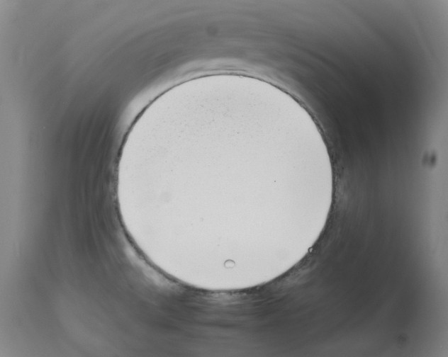 X0000114011527200911131152