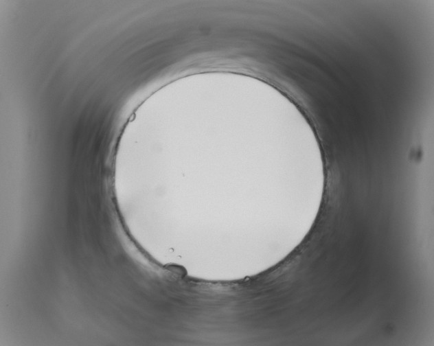 X0000114011528200911131152