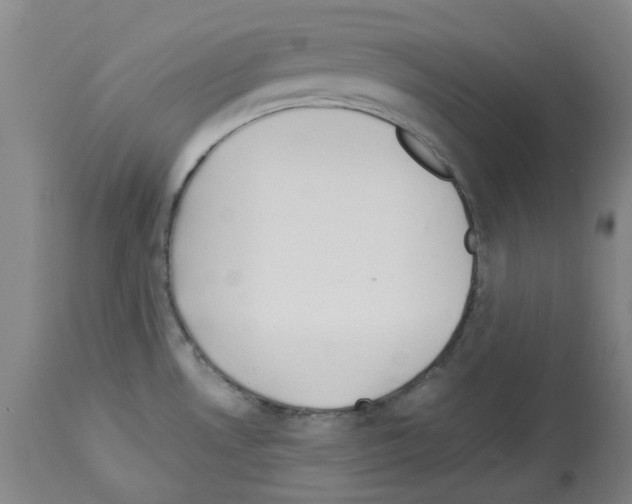 X0000114011530200911131152