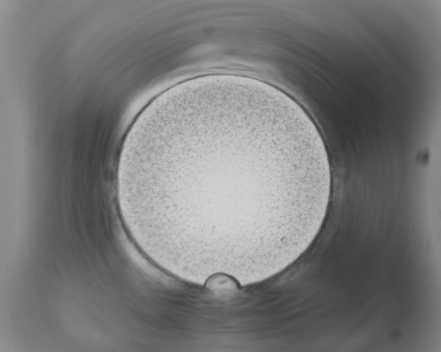 X0000114011531200911131152