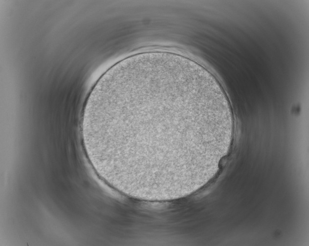 X0000114011533200911131152