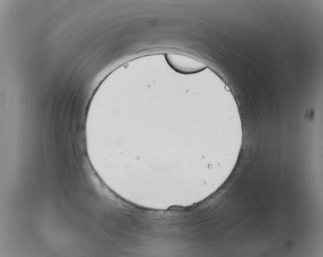 X0000114011534200911131152