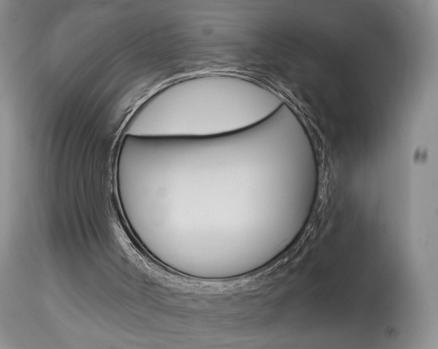 X0000114020002200910021028