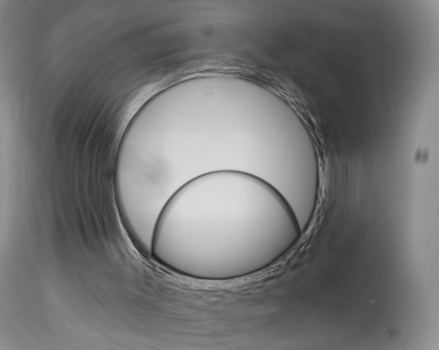 X0000114020003200910021028