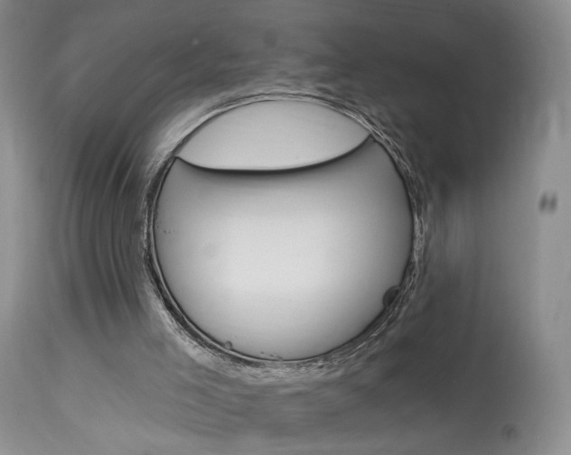 X0000114020005200910021028