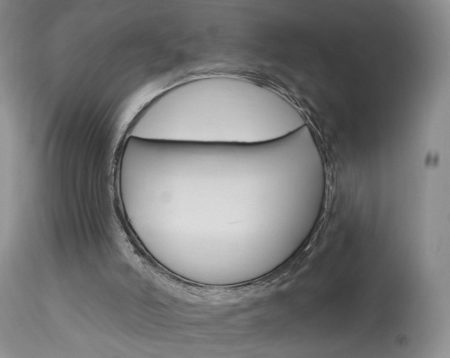 X0000114020006200910021028