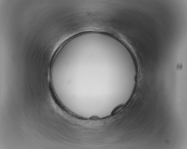 X0000114020011200910021028