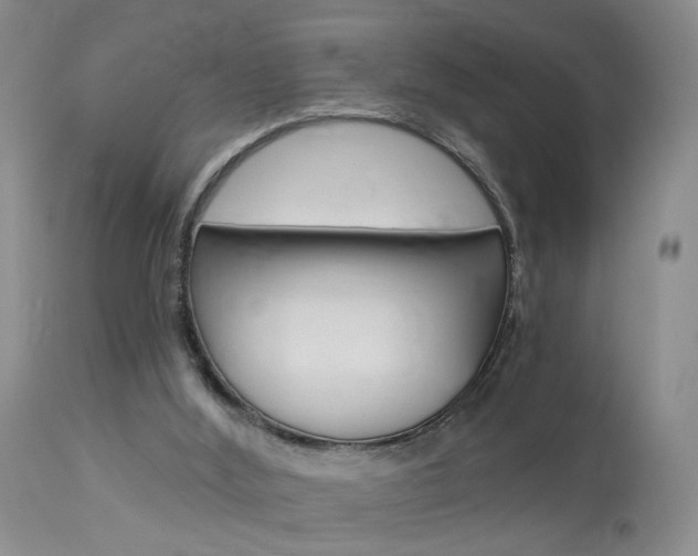 X0000114020012200910021028