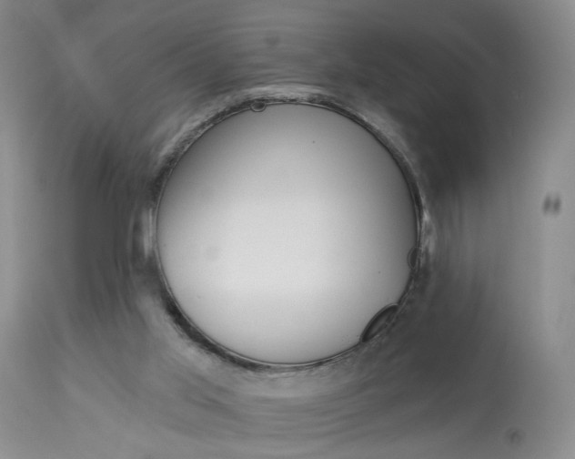 X0000114020013200910021027