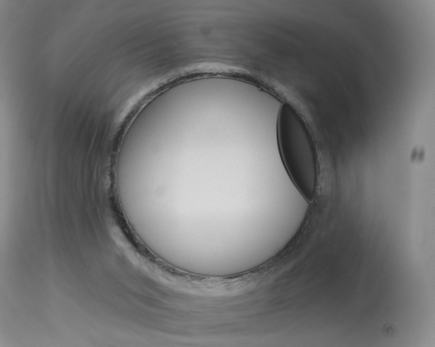 X0000114020015200910021027