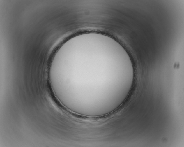X0000114020016200910021027