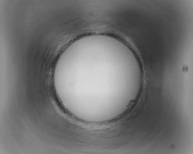 X0000114020018200910021027