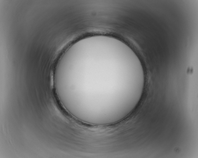 X0000114020020200910021027